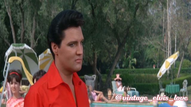 Shelley Fabares - Lost Summer Love ☀️💕 смотреть онлайн