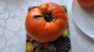 Томат БИЗОН ОРАНЖЕВЫЙ. Взвешивание, дегустация. Сезон - 2022.