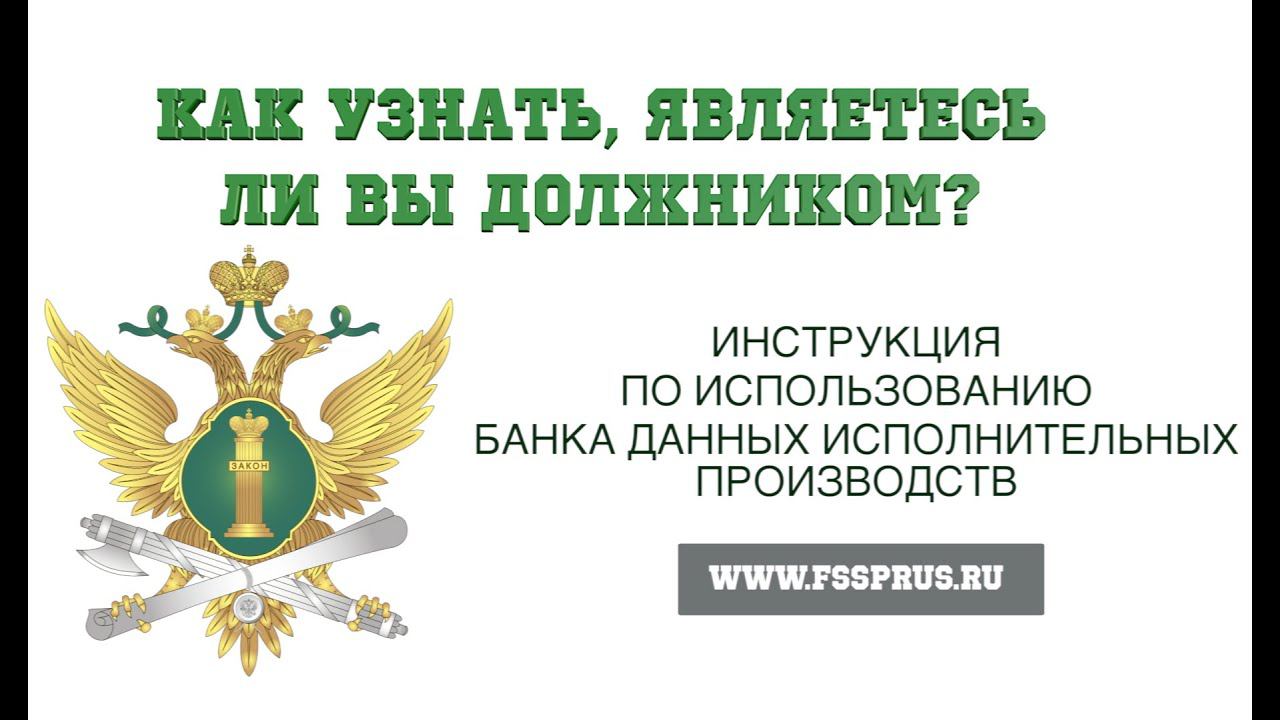 Банк Данных Исполнительных Производств | Инструкция смотреть онлайн