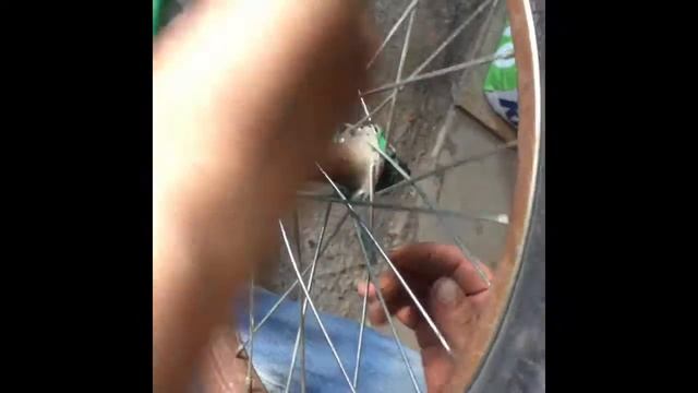 Bike wheel repair Велосипед Регулировка колёс смотреть онлайн