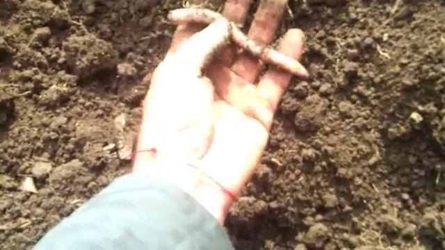 Гигант.mp4 смотреть онлайн