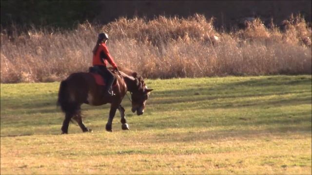 Něco jako FMA?? | Nikol Březina смотреть онлайн