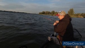 Сплит-шот. Ловля Судака. Зачетные Окуни. Щука. Голландия