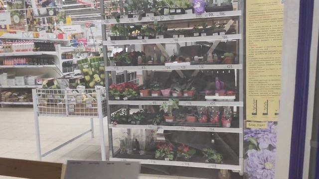Садовая мебель . Инструменты для сада. Цены в Ашане смотреть онлайн