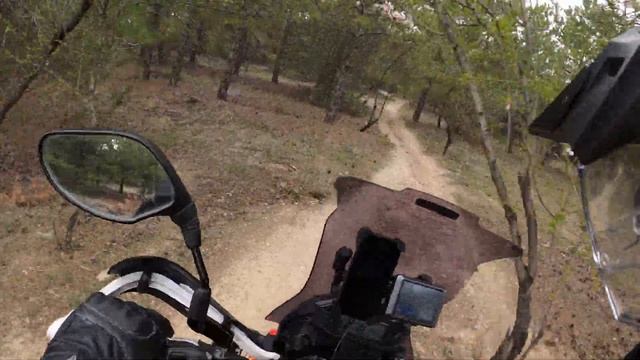 Honda crf 250 Rally Forest Fun 4K смотреть онлайн