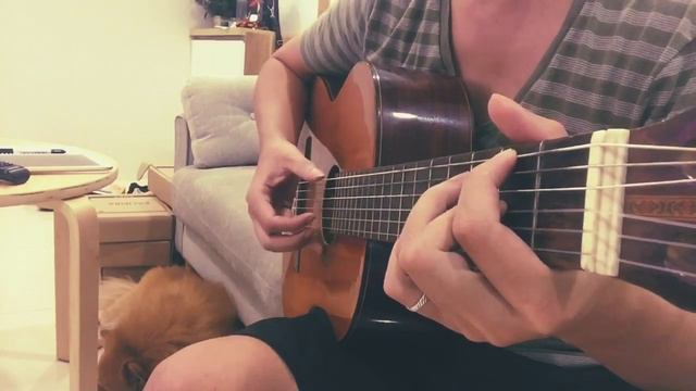 Shallow ( A Star Is Born ) guitar cover смотреть онлайн