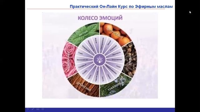 Эмоции и Эфирные Масла 18/06/20 смотреть онлайн