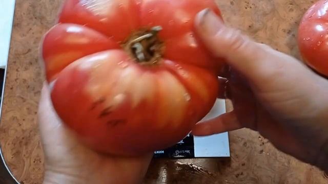 Томат Барнаульские смотреть онлайн