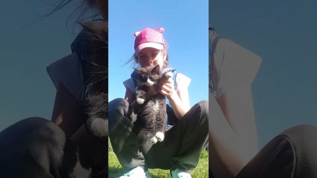 прикольный ролик с котёнком смотреть онлайн