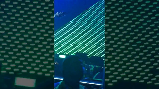 System Of A Down - Spiders Live 2018 Las Vegas