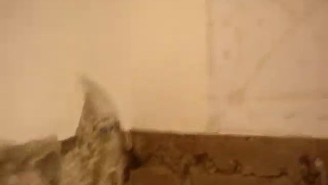 Ремонт ванны "до" смотреть онлайн