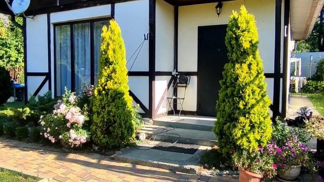 Можжевельник-результат. Планы на создание новых клумб из хвойных. смотреть онлайн