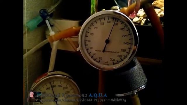 Груша подкачки к самодельному Генератору Углекислого газа CO2 в аквариум. Запуск и разгон. смотреть онлайн
