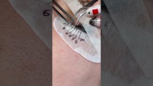 Наращивание ресниц «Мокрый эффект, Лиса в L изгибе»