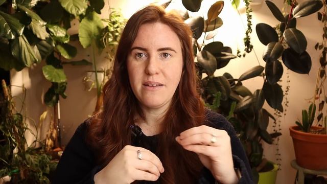 Vermiculite: The WEAPON For Fussy Seeds. Is Vermiculite Asbestos?! смотреть онлайн