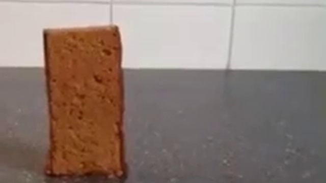 Хлеб упал через 10 часов | Sheff2014