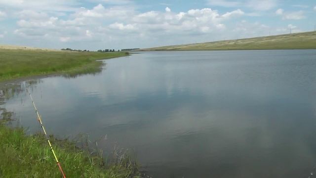 рыба 17.06.22 смотреть онлайн