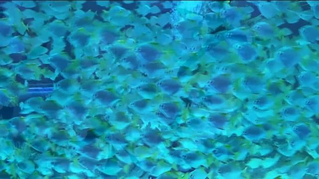 11 июля народный праздник Крапивное Заговенье. Народные запреты, приметы, традиции и обряды.