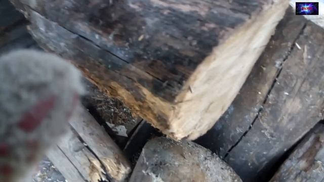 #Электропила цепная #Hammer Flex CPP1800D в работе смотреть онлайн