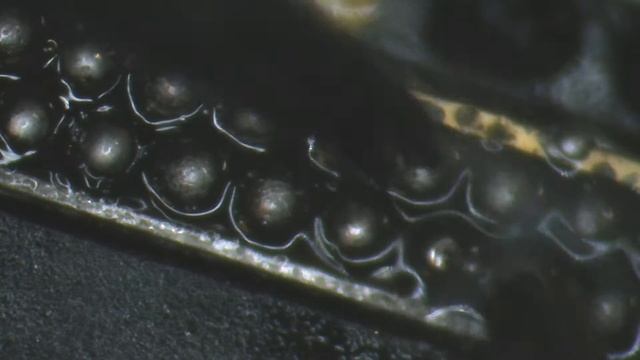 iPhone Xs Max LogicBoard Reball Solder ball Fix смотреть онлайн