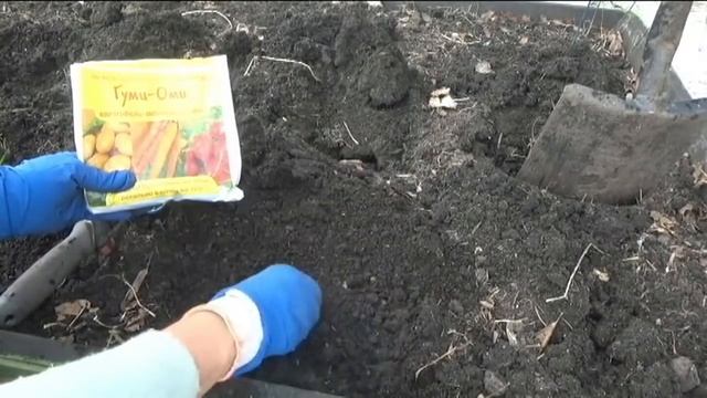 Посадка корневого сельдерея смотреть онлайн