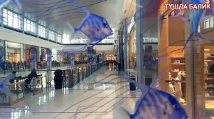 ТУШДА БАЛИК КУРСА УНГДА НИМА БУЛАДИ TUSHDA BALIQ KO'RSA O'NGDA NIMA BO'LADI ТУШИДА ТУШЛАР ТАБИРИ ТУ