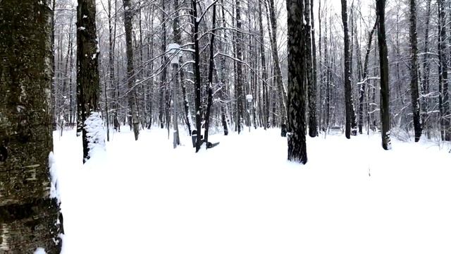 Как избежать конфликтов в семье. Советы, которые помогли. смотреть онлайн