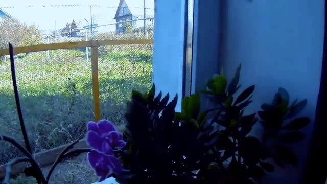 ВЛОГ/СВИТЕР ГОТОВ/ПОМЫЛА ОКНА смотреть онлайн