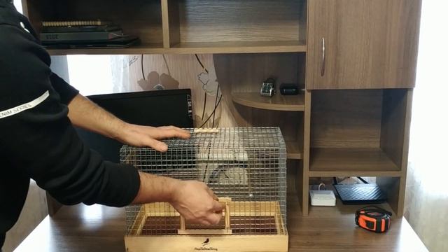 Клітини для Щігла Чижа Репола смотреть онлайн