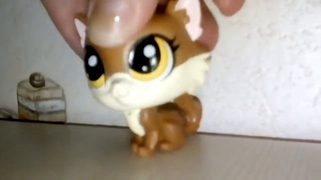 Как нельзя снимать видео с lps смотреть онлайн