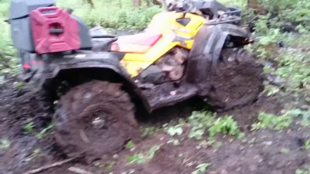 2015 07 12 Квадрик. Смоленск. Болото. Хорошо сидим смотреть онлайн