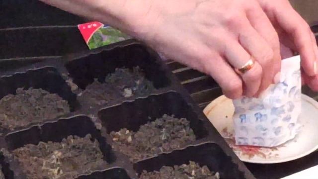 Ремонтный Мастер