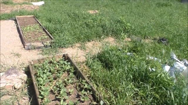 Купили хорошую ручную косу смотреть онлайн