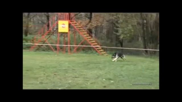 Лучшие Атаки-Карат смотреть онлайн