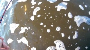 ЛОВЛЯ СОМА НА ВОЛГЕ.БЕШЕНЫЙ СОМ РАЗОРВАЛ ЛОДКУ.ВОЛЖСКИЙ КЛЕВ СОМА