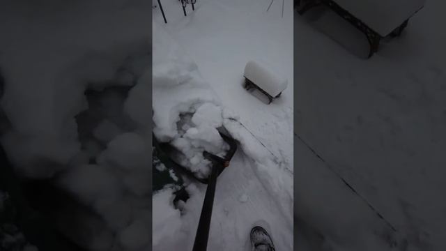 Обслуживайте свои кровли! #архитектура #строительство смотреть онлайн