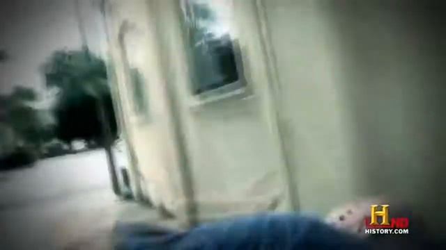 National Geography Wild - Bees - Documentary