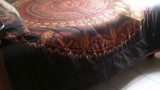 3.0 Bedroom House For Sale in Protea Glen, Soweto, South Africa for ZAR R 470 000 смотреть онлайн