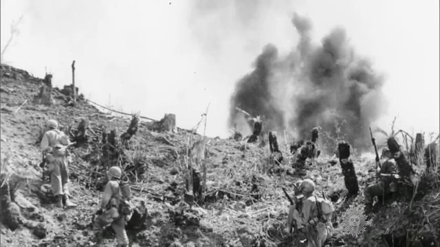 Almanac: The conscientious objector смотреть онлайн