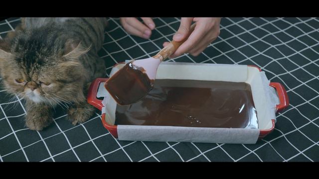 Nama Chocolate Royce