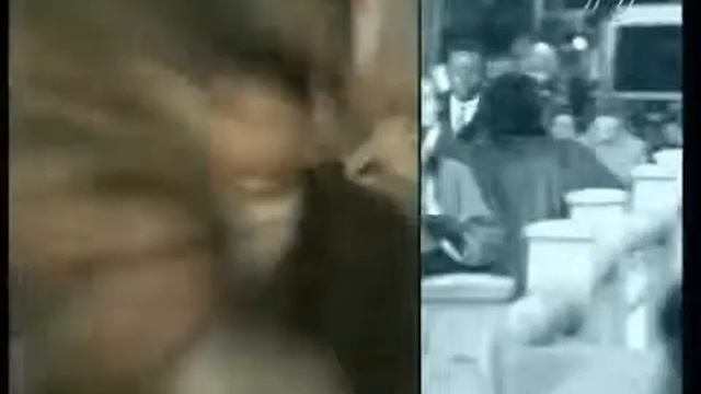 Чудо строения дыхательной системы 1 смотреть онлайн