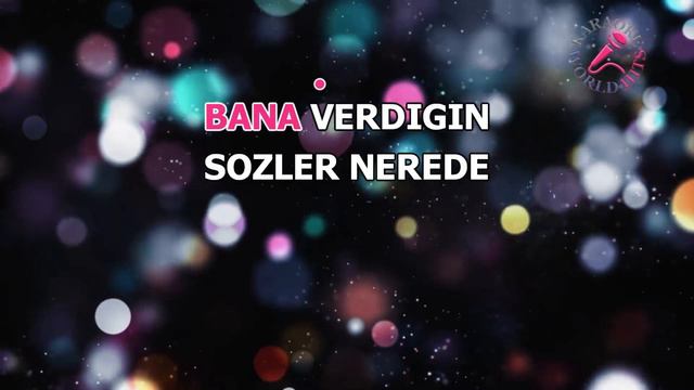 ALTUG EMRE - BU KADAR MI /KARAOKE/