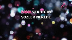 ALTUG EMRE - BU KADAR MI /KARAOKE/