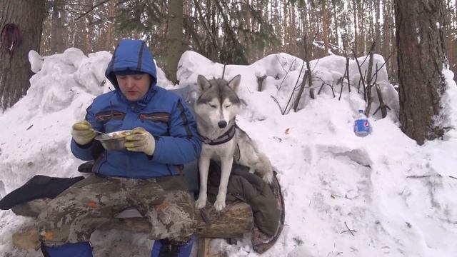 Строительство землянки часть 2 | Сырный суп в казане на костре | Маламут Балу в лесу.