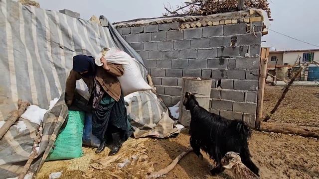 Another Snowy Day For The Peren Family. Mehdi Made The Children Happy By Buying Intellectual Games🎮