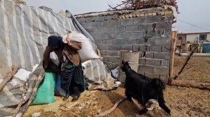 Another snowy day for the Peren family. Mehdi made the children happy by buying intellectual games🎮