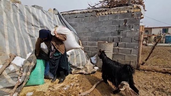 Another snowy day for the Peren family. Mehdi made the children happy by buying intellectual games🎮