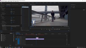 Эффект появления текста. Adobe Premiere Pro