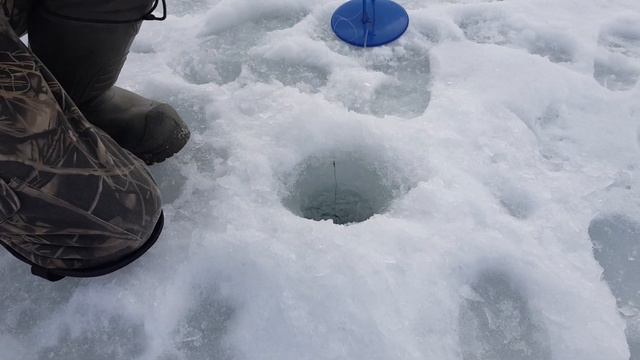 На дворе весна а у нас рыбалка и долгожданный хищник!! смотреть онлайн