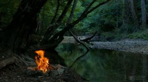 Прищипка огурцов в открытом грунте